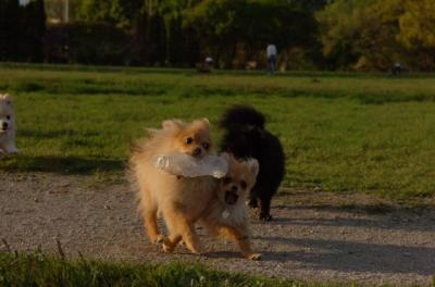 May14_06_232.JPG