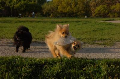 May14_06_234.JPG
