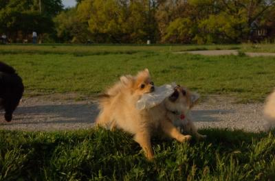 May14_06_235.JPG