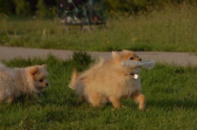 May14_06_239.JPG