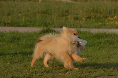 May14_06_240.JPG