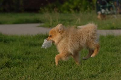 May14_06_241.JPG