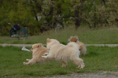 May14_06_244.JPG
