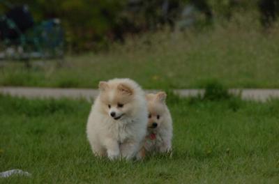 May14_06_246.JPG