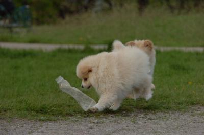 May14_06_248.JPG