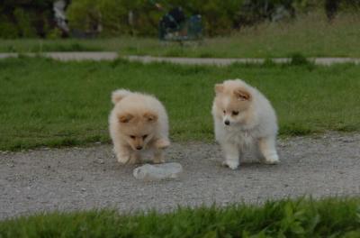 May14_06_251.JPG