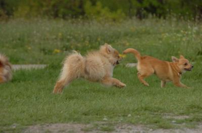 May14_06_254.JPG