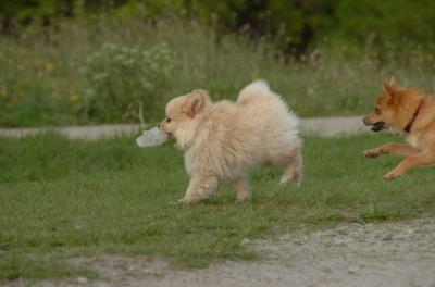 May14_06_256.JPG