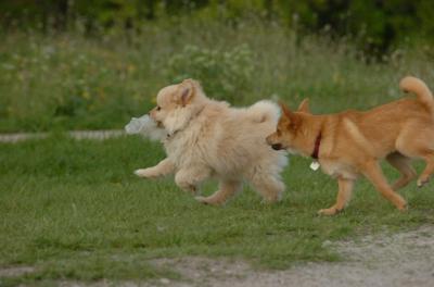 May14_06_257.JPG