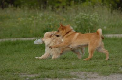 May14_06_258.JPG