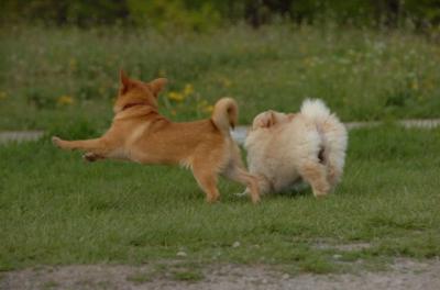 May14_06_259.JPG