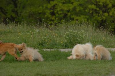 May14_06_266.JPG