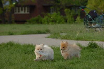 May14_06_267.JPG