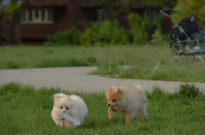 May14_06_268.JPG