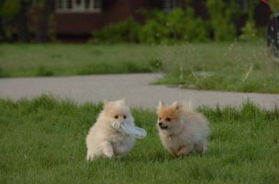 May14_06_269.JPG