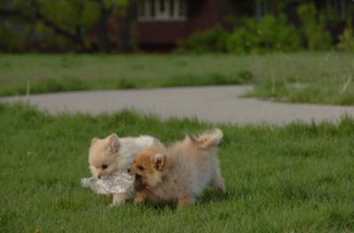 May14_06_270.JPG