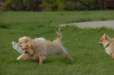 May14_06_274.JPG