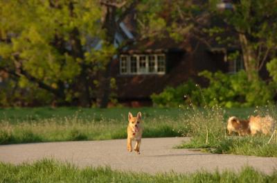 May14_06_276.JPG
