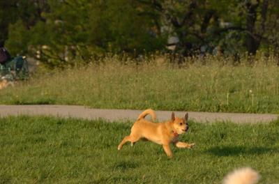 May14_06_277.JPG