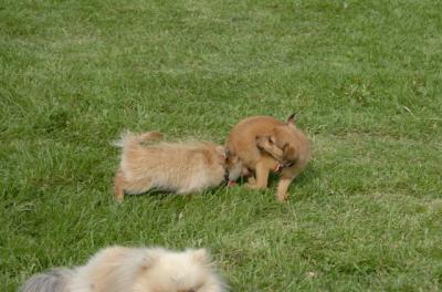May23_06_136.JPG