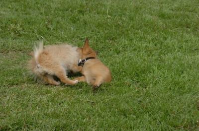May23_06_139.JPG