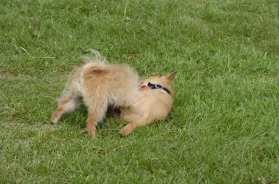 May23_06_140.JPG