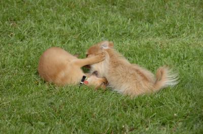May23_06_142.JPG