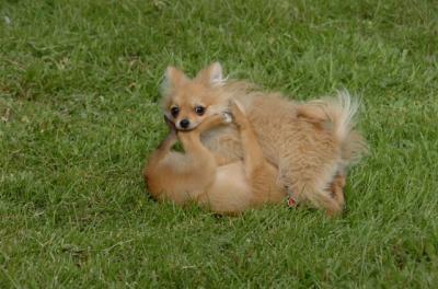 May23_06_143.JPG
