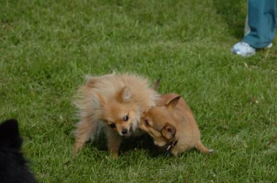 May23_06_144.JPG