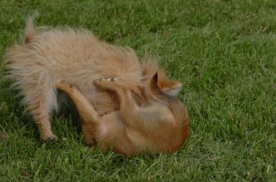 May23_06_149.JPG