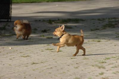 May23_06_167.JPG