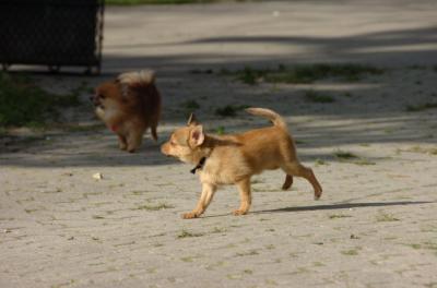 May23_06_168.JPG