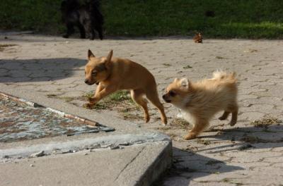 May23_06_176.JPG