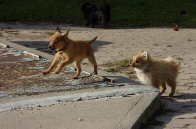 May23_06_178.JPG