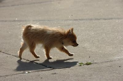 May23_06_189.JPG