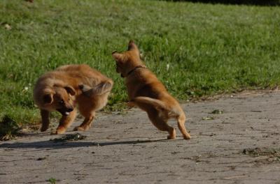 May23_06_229.JPG