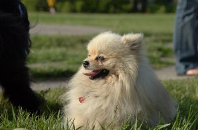 May27_06_154.JPG