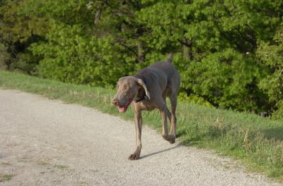 May27_06_211.JPG