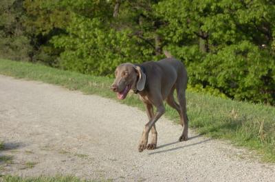 May27_06_212.JPG