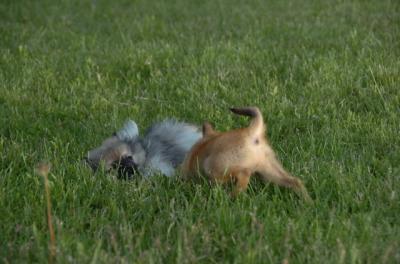 May27_06_275.JPG