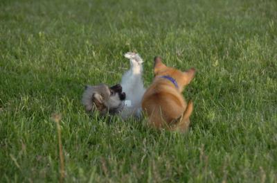 May27_06_276.JPG