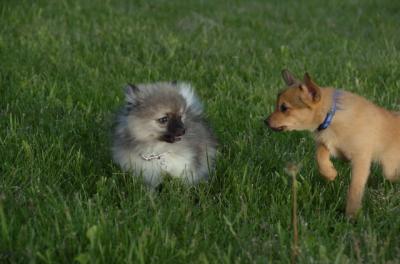 May27_06_280.JPG