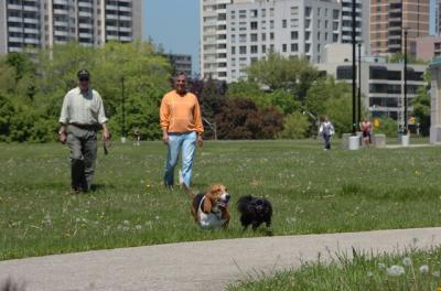 May27_06_011.JPG