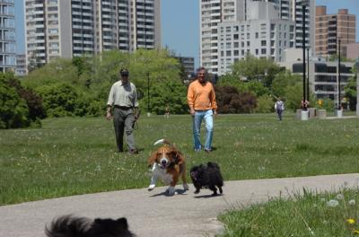 May27_06_016.JPG