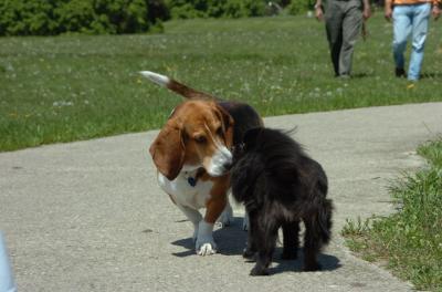May27_06_018.JPG