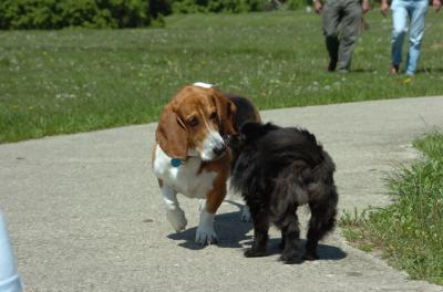 May27_06_019.JPG