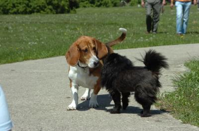 May27_06_020.JPG