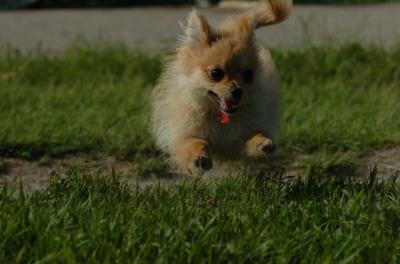 May28_06_157.JPG