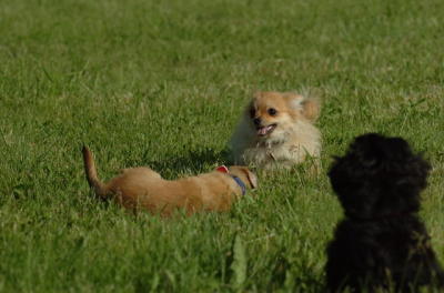 May28_06_160.JPG