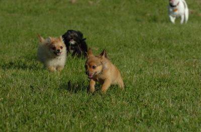 May28_06_165.JPG